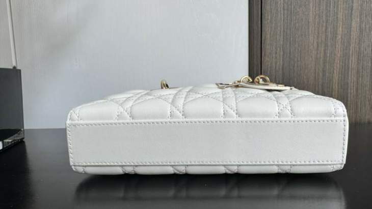 Picture of Dior Handbags _SKUfw239313483fw
